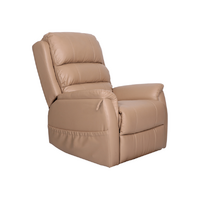 Aspire IDAHO Dual Action Lift Recline Chair