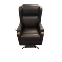 BELLA Memory Foam Dual Motor Lift Chair