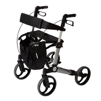 Alpha 419 Rollator