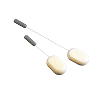 Long Handled Sponge