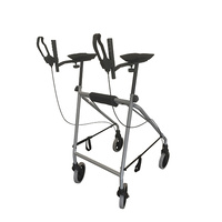 Days Gutter Walker with Handbrakes 