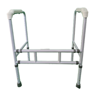 PCP Toilet Support Frame
