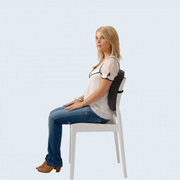 Back Hugger Chair Cushion