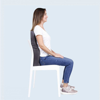 Total Spinal Support - Full Size Back & Spine Support Chair Cushion
