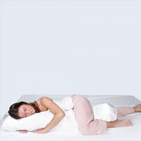 Lucky One Body Pillow